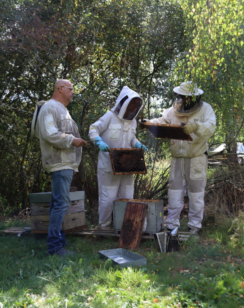 Formations à l'Apiculture img 6373
