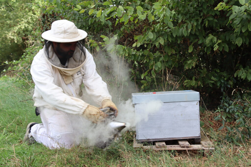 Formations à l'Apiculture img 6706